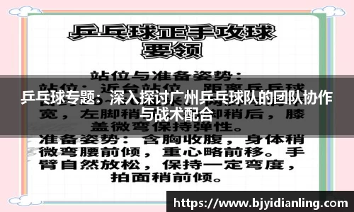 乒乓球专题：深入探讨广州乒乓球队的团队协作与战术配合