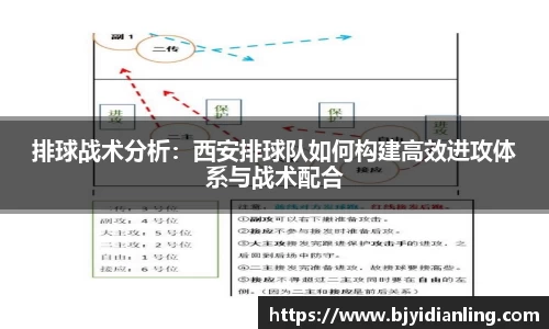 排球战术分析：西安排球队如何构建高效进攻体系与战术配合